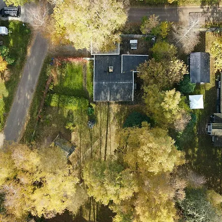 Classic Timber Close To Forest And